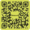 Thumbnail for version as of 02:01, 21 August 2023