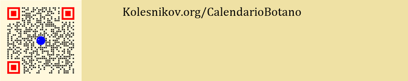 File:SBR1-CalendarioBotano9.png