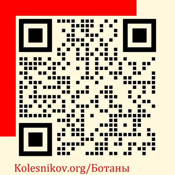 File:Ботаны5.JPG