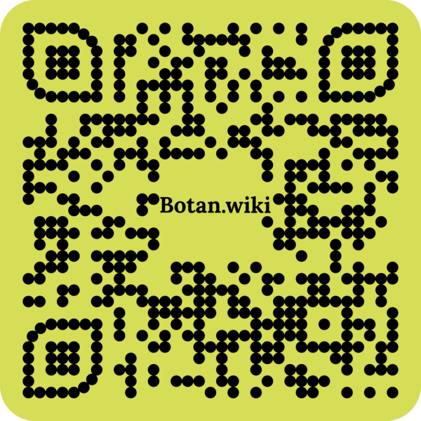 File:Harms.png