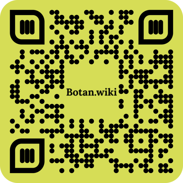 File:Botan.wiki.png