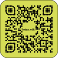 Thumbnail for version as of 17:04, 17 July 2023