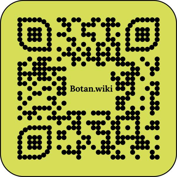File:Grima.png