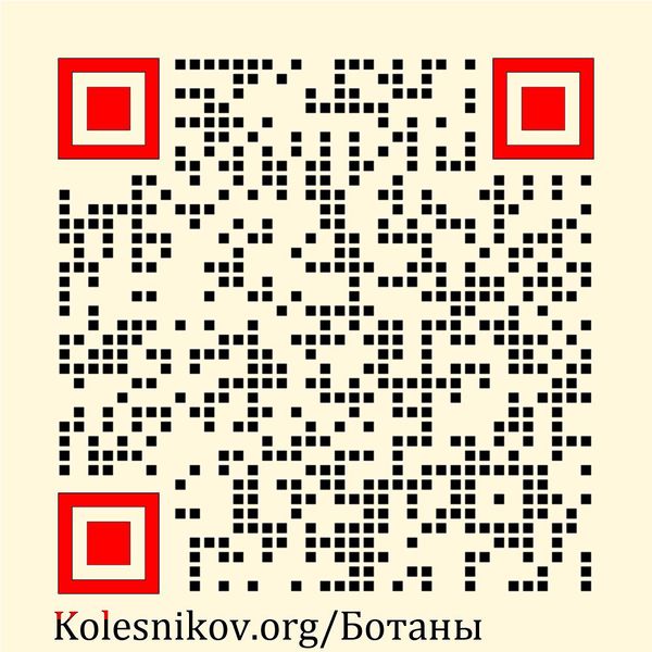 File:Ботаны.JPG