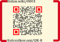 Thumbnail for version as of 07:59, 27 December 2023