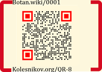 SBR-QR-8-2.png