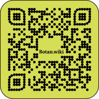 Perelman (1).png