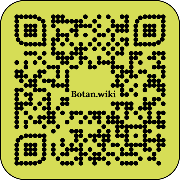 File:Perelman (1).png
