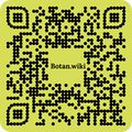 Thumbnail for version as of 12:59, 21 August 2023