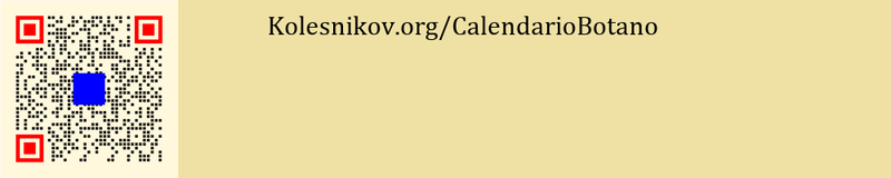 File:SBR1-CalendarioBotano6-2.png